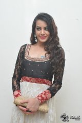 Diksha Panth at Gopala Gopala Movie Audio Launch